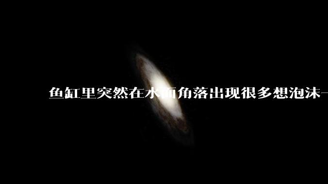 鱼缸里突然在水面角落出现很多想泡沫一样的气泡是怎么回事？